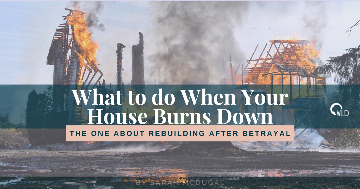What to do When Your House Burns Down An Analogy of Rebuilding After